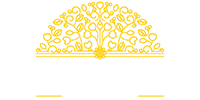 light logo