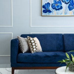 sofa5